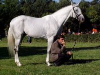 hrebci-majales1m.jpg