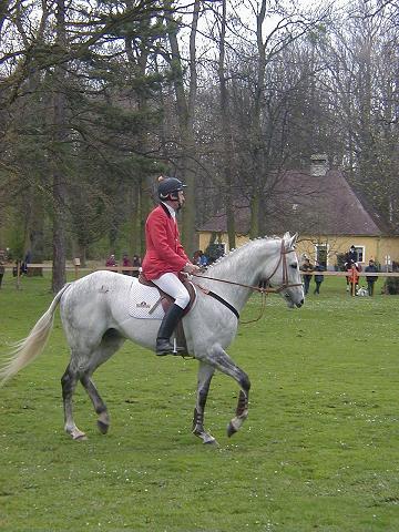 757_img_1.jpg